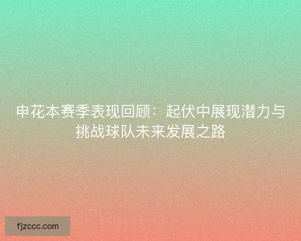 申花本赛季表现回顾：起伏中展现潜力与挑战球队未来发展之路